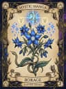 Borage