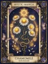 Chamomile