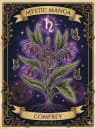 Comfrey