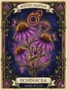 Echinacea