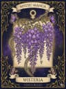 Wisteria